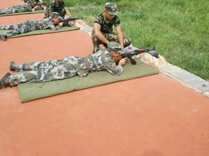 L(fng)