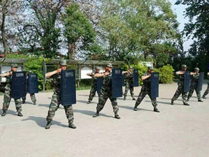 L(fng)